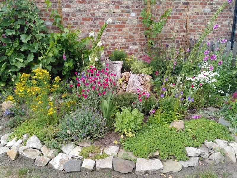 Das Foto zeigt einen naturnahen Garten.