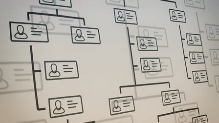 Organisationsstruktur (Foto: Adobe Stock, lucadp)