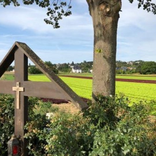 Das Foto zeigt ein Wegekreuz, Foto: Gemeinde Alfter - vergrößerte Darstellung öffnen