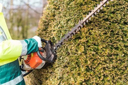 Heckenschnitt, Foto: Adobe Stock, Chopard Photography Ein Mann schneidet eine Hecke - vergrößerte Darstellung öffnen